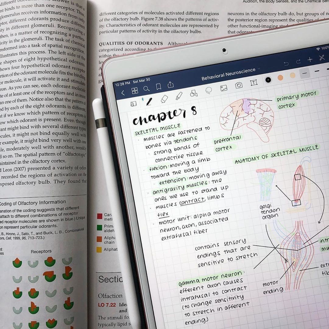 behavioral neuroscience notes on the iPad